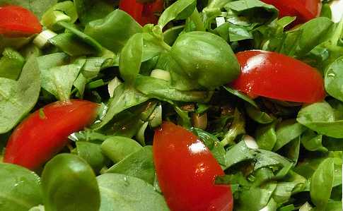 Semizotu Salataları