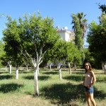camyuva_bahce_16_450_600