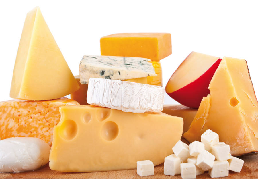 Peynir Bakterileri Ve Kullanım Yerleri